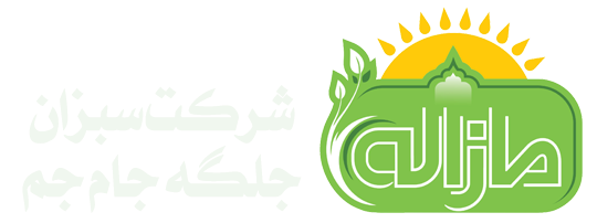 Mazale Co | Dry Vegetarian Products